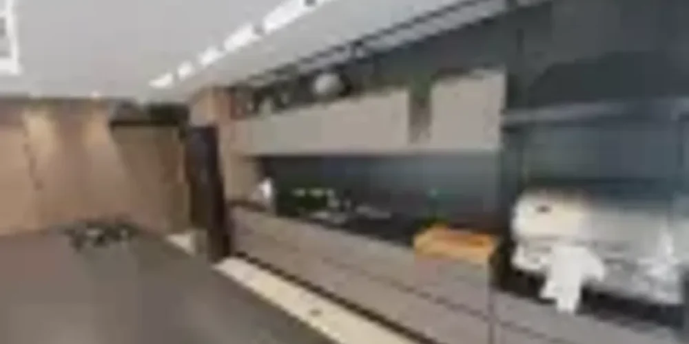 cobertura-com-4-quartos-a-venda-237m-no-serra-belo-horizonte (17)