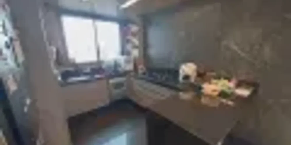 cobertura-com-4-quartos-a-venda-237m-no-serra-belo-horizonte (4)